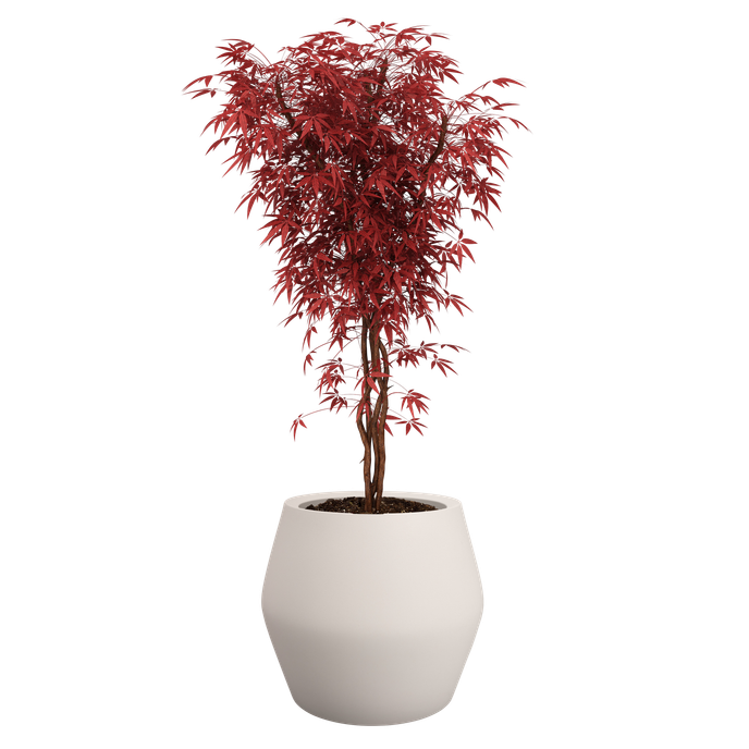 june split low 46cm linnen wit